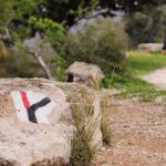 שביל חוצה ישראל – מה הקטע שלכם?