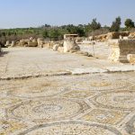 יער ציפורי – שמורה קטנה מוצלת וקרירה בכל עונות השנה