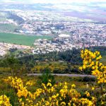 הגליל העליון בשיא יופיו ומזמין לטיולי משפחות