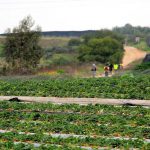 מחזקים בשרון את התיירות והטיילות בישראל