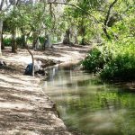 שבת של סיורים וטיולים משפחתיים בנחלים ברחבי הארץ