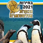 הבחירות הכי מרתקות: מי תהיה נבחרת האולסטארז של הספארי?