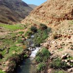 יוצאים מהסוכה עם המשפחה לבקעת הירדן וחבל בנימין
