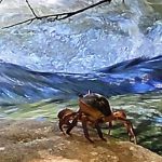 סרטני נחלים משתובבים בנחל שניר