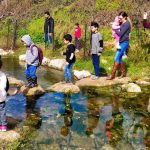 “מגלים את נחל ציפורי”: משחק משימות חווייתי לכל המשפחה