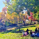 יום ירושלים בגן הבוטני: טבע עירוני פורח, סיורים מודרכים וכניסה בחינם