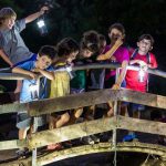 פעילויות משפחתיות בגולן, ביום העצמאות ולאחריו