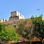 עצמאות משפחתית בביקור באתרי מורשת קרב