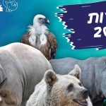 הפנינג בחירות בספארי, וכאן ניתן להצביע בכל גיל