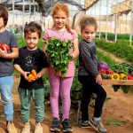 המשפחה מוזמנת לערבה התיכונה להשתתף בחוויית ‘מהחממה לצלחת’