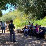 שבת שמשית למטיילים, למשפחות ולחיות הבר