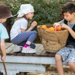 קיץ משפחתי באתרי המורשת: מוזמנים לסיורים מסובסדים בעשרות אתרים