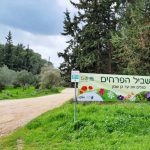“בשביל הפרחים”: מגלים את יער בן שמן  עם משחק “חוויער”