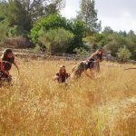 המשפחות חוגגות את חג הביכורים, בצפון הנגב ובחבל מודיעין