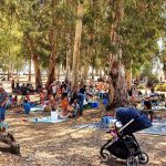 כ-35 אלף מטיילות/ים הגיעו להתאוורר בשמורות הטבע והגנים הלאומיים