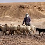 פעילויות למשפחות בלב המדבר בערבה התיכונה