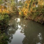 “האבקה – הסיפור המלא”: תערוכה חדשה במוזיאון ע”ש שטיינהרדט