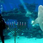 פארק המצפה התת ימי באילת: פעילויות חנוכה לכל המשפחה
