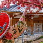 פריחת הסאקורה בירושלים: חודש תרבות יפן בגן הבוטני