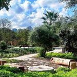 ט”ו בשבט במוז”א: משיק משחק דיגיטלי חדש לכל המשפחה בבוסתן