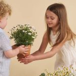 אירועים מהנים לכבוד יום המשפחה וחגיגות ט”ו בשבט