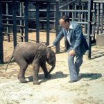 מגן החיות המיתולוגי בת”א, לספארי המודרני בר”ג