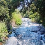 מטיילים בחום הגדול בשמורות הטבע ובגנים הלאומיים של רט”ג