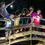 הלילה שלכם בגולן: המדריך המלא לפעילויות הקיץ הכי שוות אחרי השקיעה
