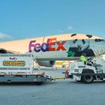 מסין לארה”ב: 2 פנדות הגיעו בטיסה מיוחדת של FedEx