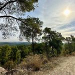 אחרי הבחירות המשפחות יוצאות לטבע ובוחרות ביערות קק”ל