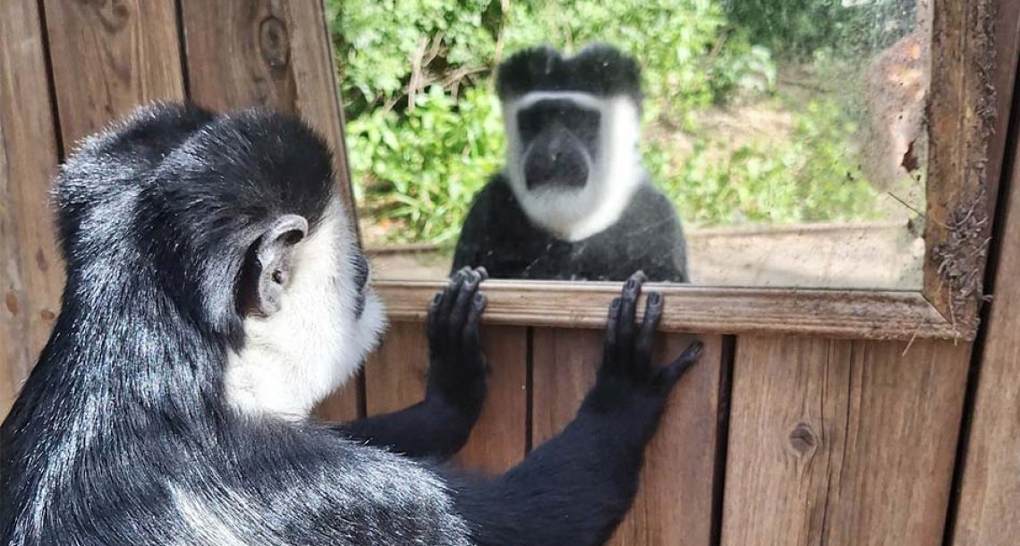 ספארי ר”ג: במפעילות העשרה לבעלי החיים