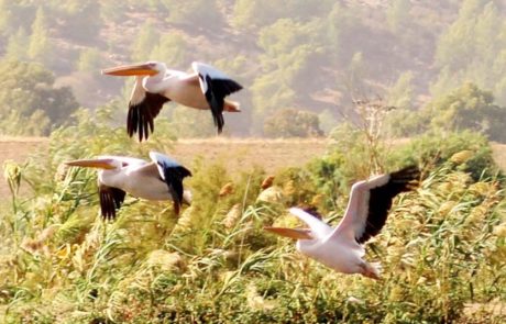 סוף שבוע משפחתי של טבע, תרבות ונופים