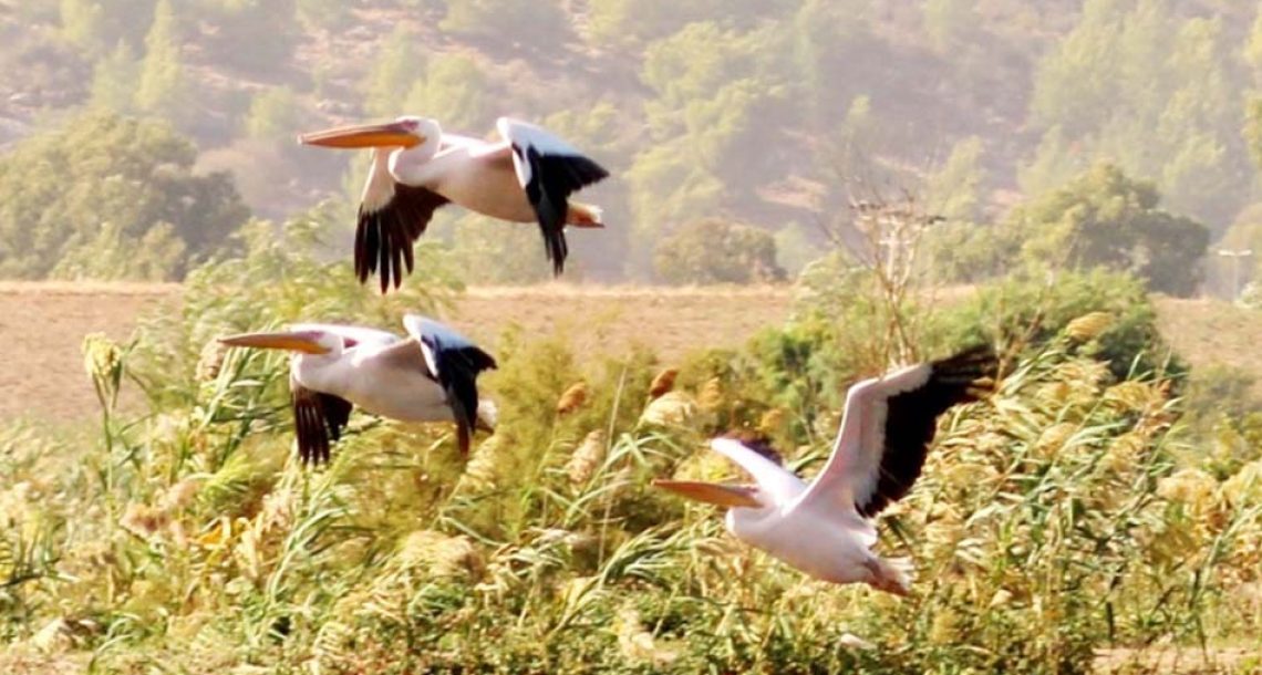 סוף שבוע משפחתי של טבע, תרבות ונופים