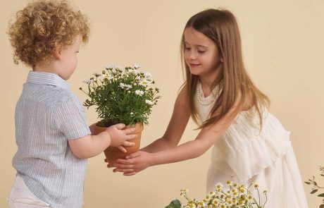 אירועים מהנים לכבוד יום המשפחה וחגיגות ט”ו בשבט