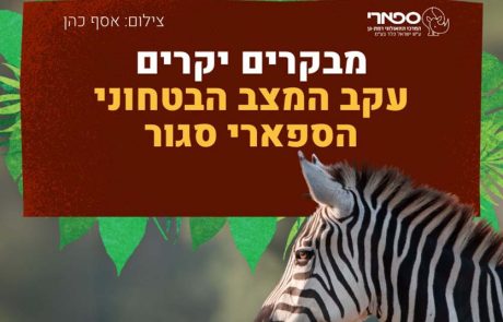 החיות נשארות, המבקרים לא: הספארי בר”ג נסגר עקב המצב הביטחוני