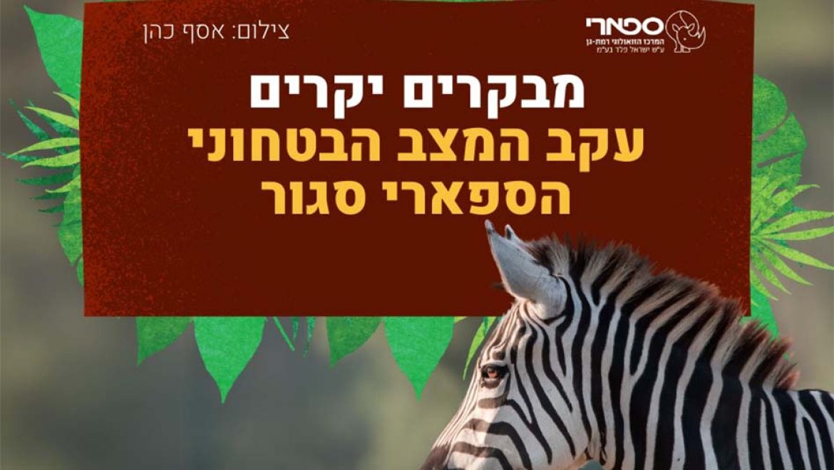 הספארי מודיע על סגירה בשל המצב הבטחוני. צילום יח החיות נשארות, המבקרים לא: הספארי בר”ג נסגר עקב המצב הביטחוני