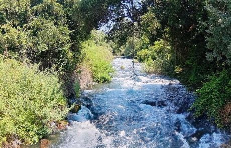 מטיילים בחום הגדול בשמורות הטבע ובגנים הלאומיים של רט”ג