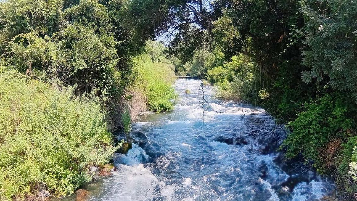 מטיילים בחום הגדול בשמורות הטבע ובגנים הלאומיים של רט”ג