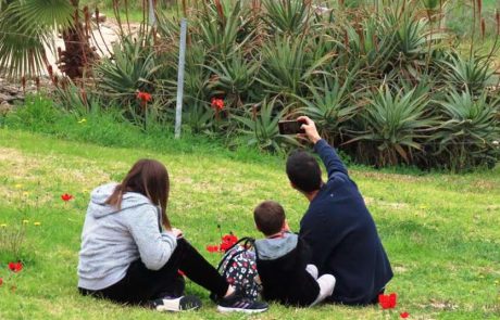 בחורף עוטים נופי הארץ מרבדים ירוקים רעננים ושלל פריחה צבעונית