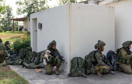 “עדות מקומית 2023”, במוז”א