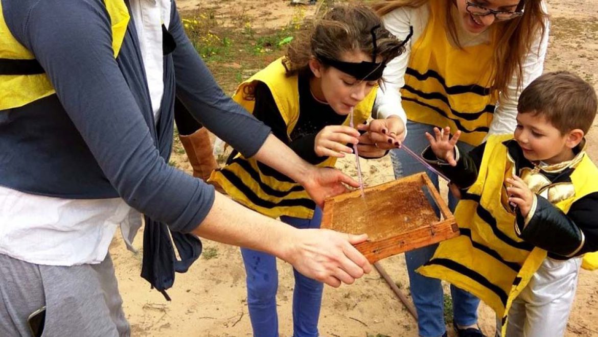 מועצת הדבש מזמינה לחגוג עם הדבוראים לציון ‘יום הדבורה הבינלאומי’