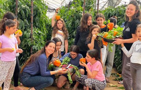 כל המשפחה קוטפת ומבשלת: ‘מהחממה לצלחת’ בערבה התיכונה