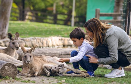 סיורי “באנו חושך לגרש בידנו אור ואש”, בגן גורו