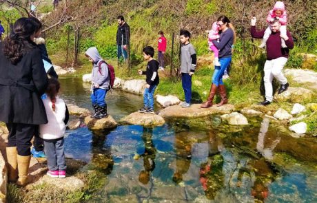 “מגלים את נחל ציפורי”: משחק משימות חווייתי לכל המשפחה