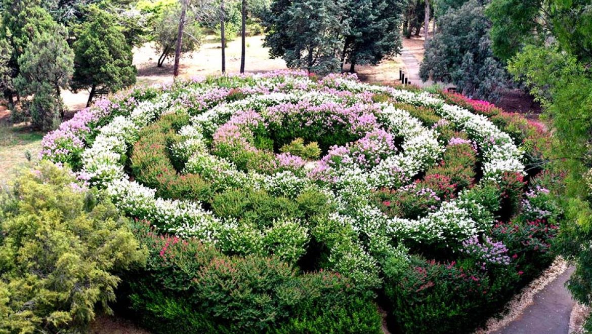 גן בוטני אילניה. צילום כאמל עליאן הגן הבוטני אילנות של קק”ל: פעילות לכל המשפחה