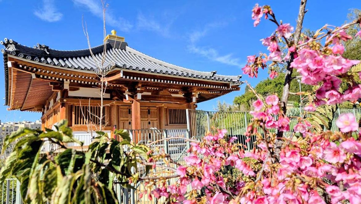 חודש תרבות יפן בגן הבוטני בירושלים ושפע פעילויות למשפחות