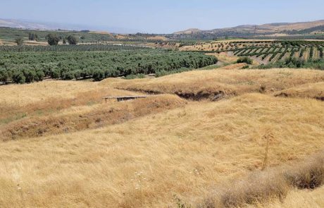 שני גנים לאומיים חדשים בישראל: הגן לאומי עובדיה ותל אשדוד