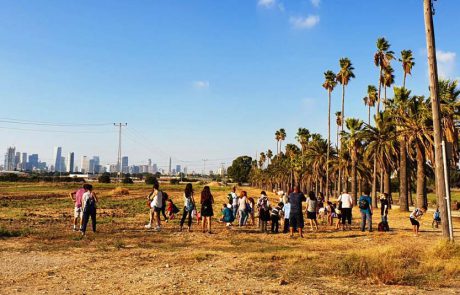 קיץ כמו פעם: פעילויות משפחתיות באתרי המורשת ברחבי הארץ