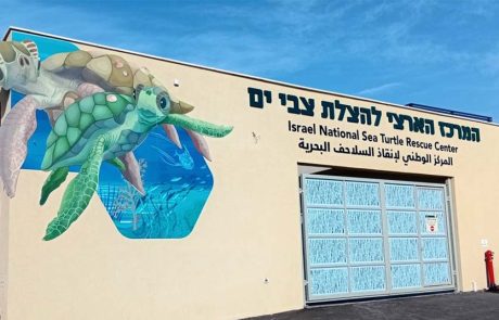אור גדול לטבע: נפתח רשמית המרכז הארצי להצלת צבי הים