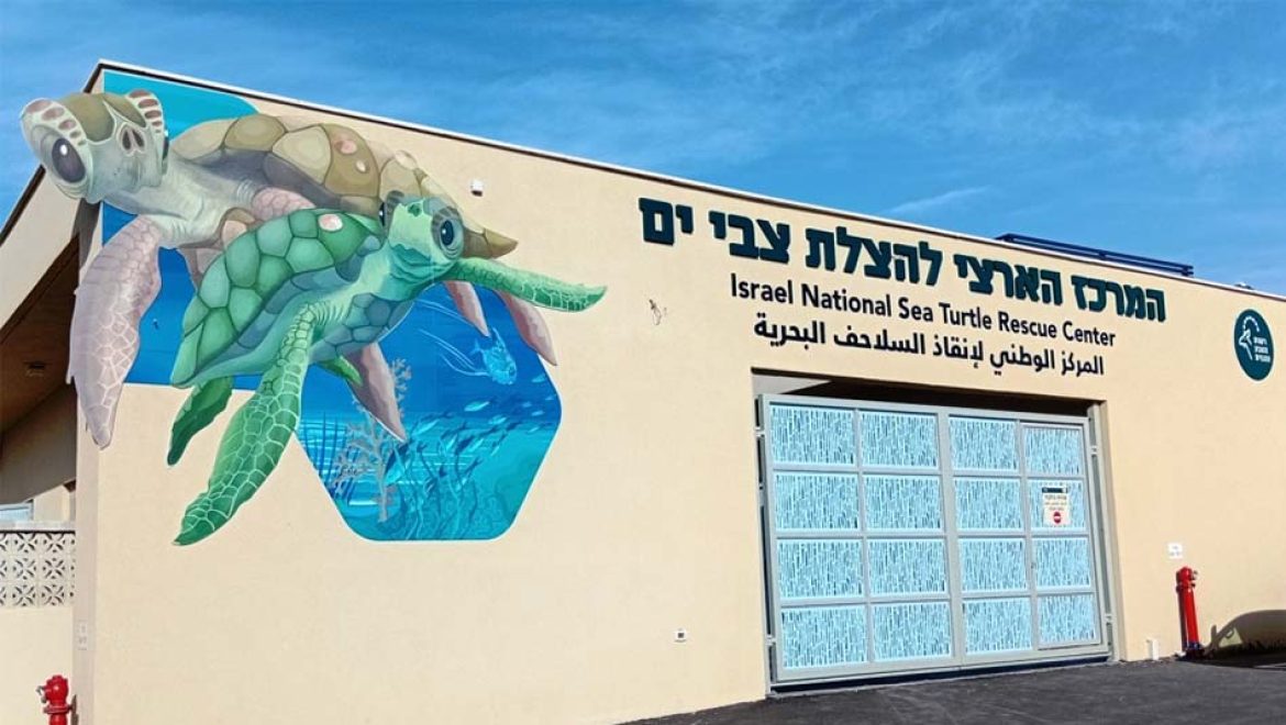 אור גדול לטבע: נפתח רשמית המרכז הארצי להצלת צבי הים